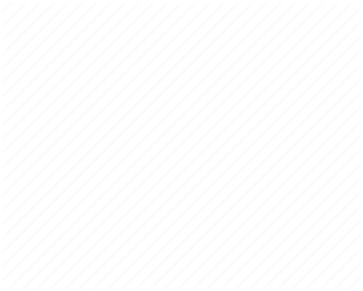 mobile phone